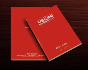 真正高端的房地產(chǎn)企業(yè)宣傳畫冊設計 擺脫創(chuàng)意文案 廣告照樣牛逼！