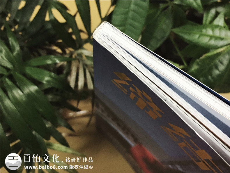 《締結(jié)》期刊雜志印刷制作-企業(yè)內(nèi)刊設(shè)計(jì)