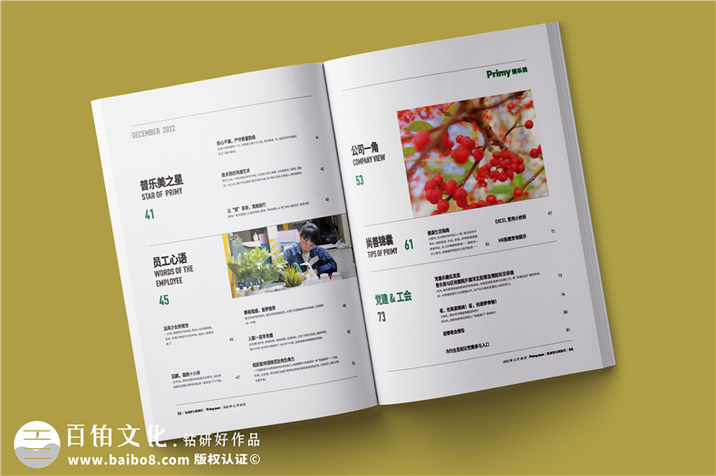 企業(yè)內刊設計-內刊排版怎么做有規(guī)范