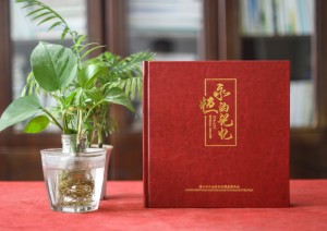 市政工程建設(shè)資料照片做電子紀(jì)念相冊-獻(xiàn)給參與項(xiàng)目的大家一本影集