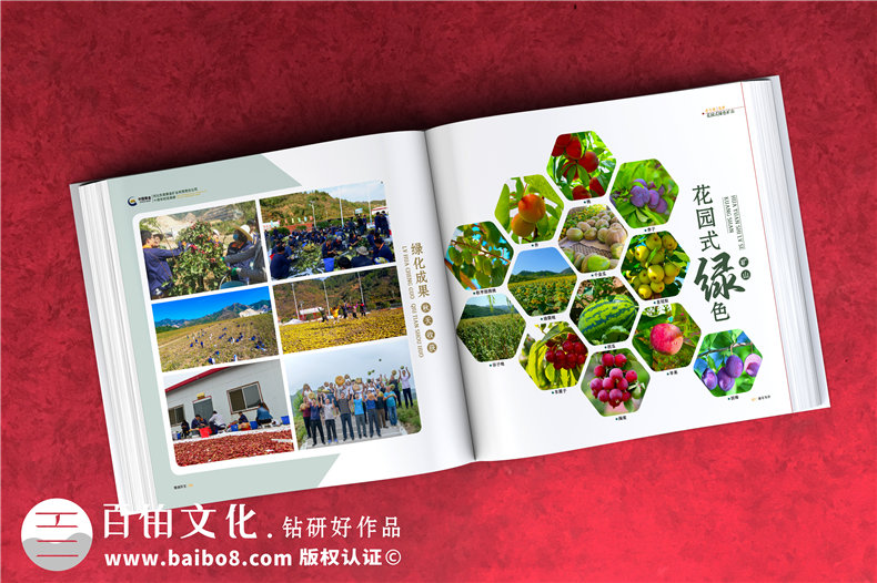 集團成立周年宣傳冊-公司創(chuàng)建10周年活動制作相冊影集