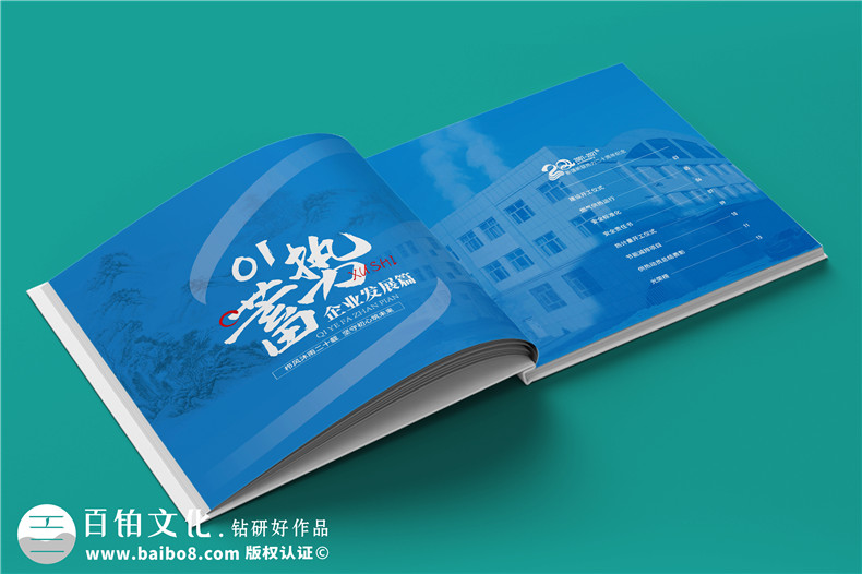 企業(yè)20年畫冊(cè)-公司廠慶回憶錄周年大事記書籍設(shè)計(jì)制作