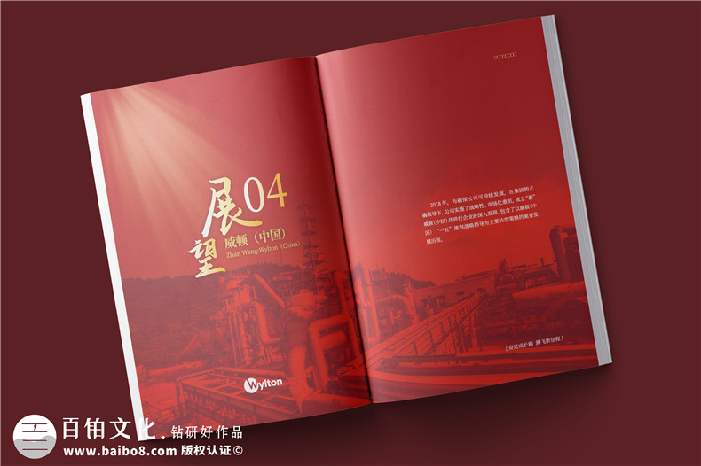 化工企業(yè)20周年紀(jì)念冊(cè)設(shè)計(jì)-公司整合發(fā)展大事記畫(huà)冊(cè)