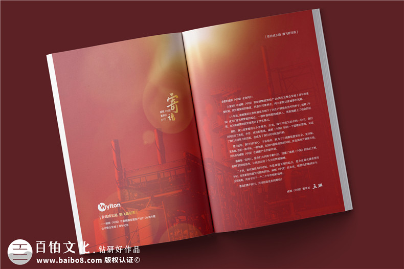 化工企業(yè)20周年紀(jì)念冊(cè)設(shè)計(jì)-公司整合發(fā)展大事記畫(huà)冊(cè)