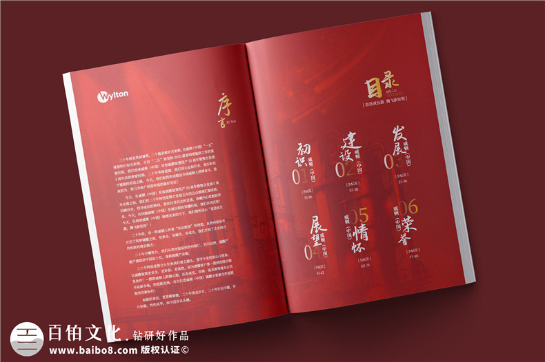 化工企業(yè)20周年紀(jì)念冊(cè)設(shè)計(jì)-公司整合發(fā)展大事記畫(huà)冊(cè)