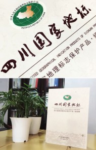 四川國家地標(biāo)-成都地方志書籍縣志印刷制作