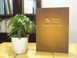 歐伯樓梯產(chǎn)品宣傳畫冊設(shè)計(jì)-家居產(chǎn)品宣傳冊制作