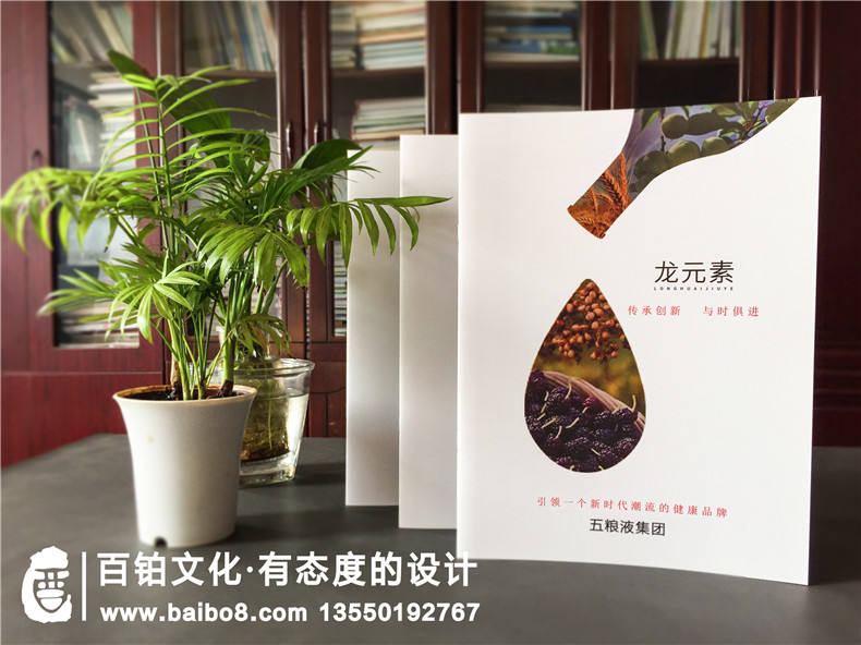 酒業(yè)公司招商加盟宣傳冊設(shè)計-白酒水產(chǎn)品畫冊樣本制作-五糧液集團