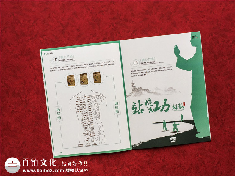 中醫(yī)藥產(chǎn)品宣傳冊設(shè)計(jì)-高端醫(yī)療科技公司畫冊-健康管理企業(yè)樣本冊