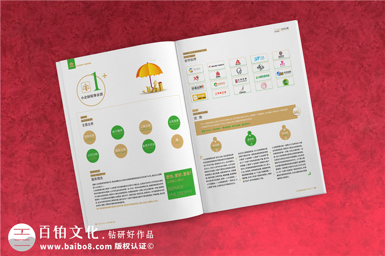 企業(yè)服務公司宣傳冊制作-財稅咨詢會計服務公司畫冊設計