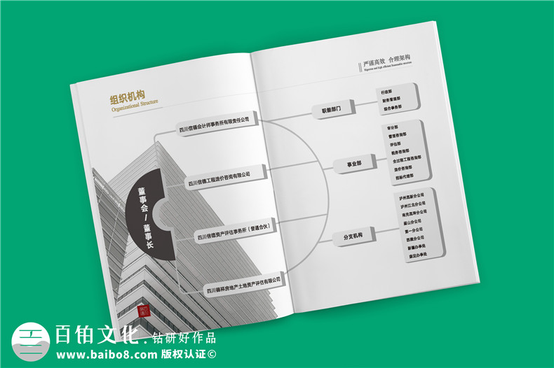 財(cái)務(wù)審計(jì)公司宣傳冊設(shè)計(jì)-工程造價(jià)管理及稅務(wù)咨詢資產(chǎn)評(píng)估企業(yè)畫冊