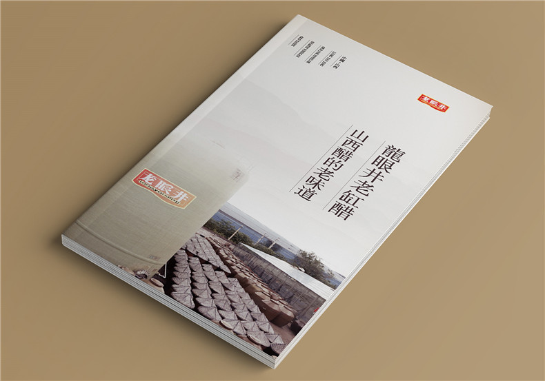 醋業(yè)產(chǎn)品招商畫冊設(shè)計-調(diào)料產(chǎn)品宣傳冊制作