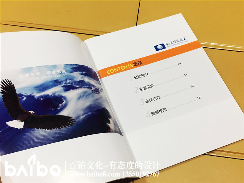 高新信息技術(shù)企業(yè)宣傳畫冊設(shè)計(jì)制作-公司畫冊印刷