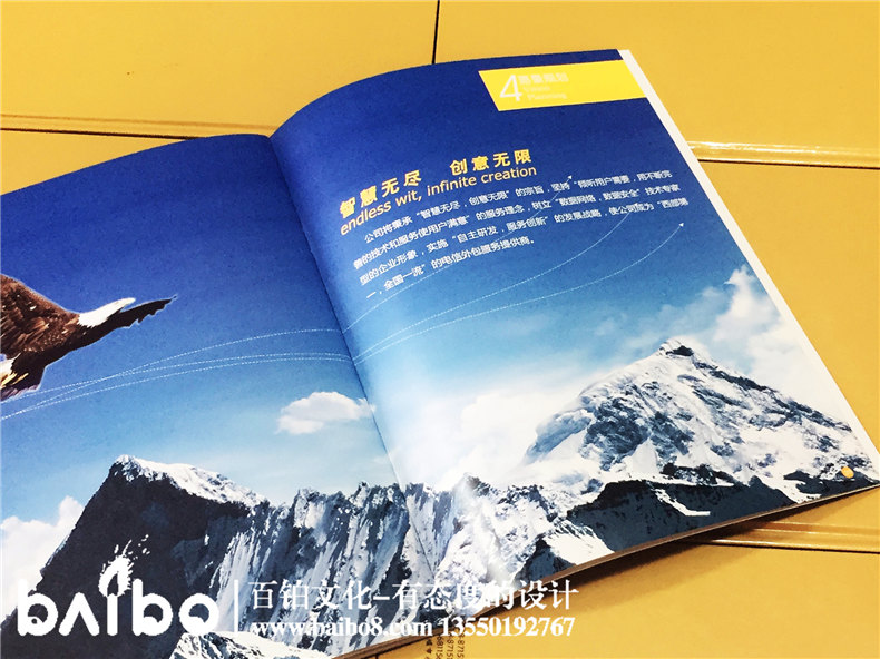 高新信息技術(shù)企業(yè)宣傳畫冊設(shè)計(jì)制作-公司畫冊印刷