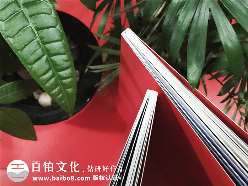 產(chǎn)權(quán)交易平臺宣傳冊設(shè)計-企業(yè)畫冊印刷-金融管理公司畫冊設(shè)計制作