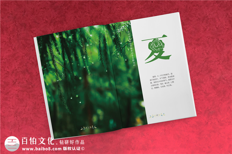 景區(qū)宣傳畫冊(cè)內(nèi)頁(yè)版式設(shè)計(jì)-旅游景點(diǎn)森林自然資源教育手冊(cè)怎么做?