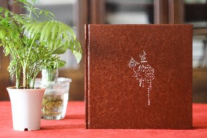 給即將退休的黨委書記干部做電子相冊(cè)-如何給領(lǐng)導(dǎo)做工作歷程集錦?