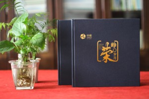 公司領(lǐng)導(dǎo)卸任離崗紀念相冊模板-看精美高檔的影集案例學怎么排版?