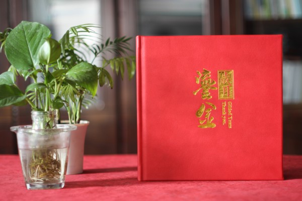 人社局長(zhǎng)退休離任紀(jì)念相冊(cè)-領(lǐng)導(dǎo)干部任職期間工作回憶畫冊(cè)