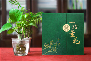 【高端定制?領(lǐng)袖印記】精裝領(lǐng)導(dǎo)紀(jì)念冊(cè) —— 鐫刻時(shí)光,鑄就榮耀