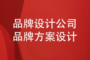 企業(yè)品牌設計重視方案設計-看品牌設計公司如何設計