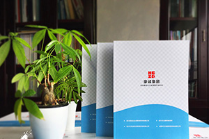 企業(yè)畫冊設(shè)計怎么做？畫冊制作的通用方法思考